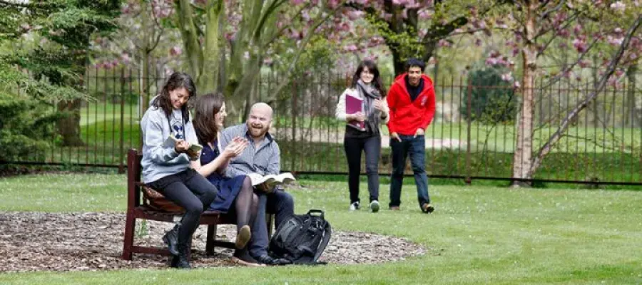 Other opportunities to study