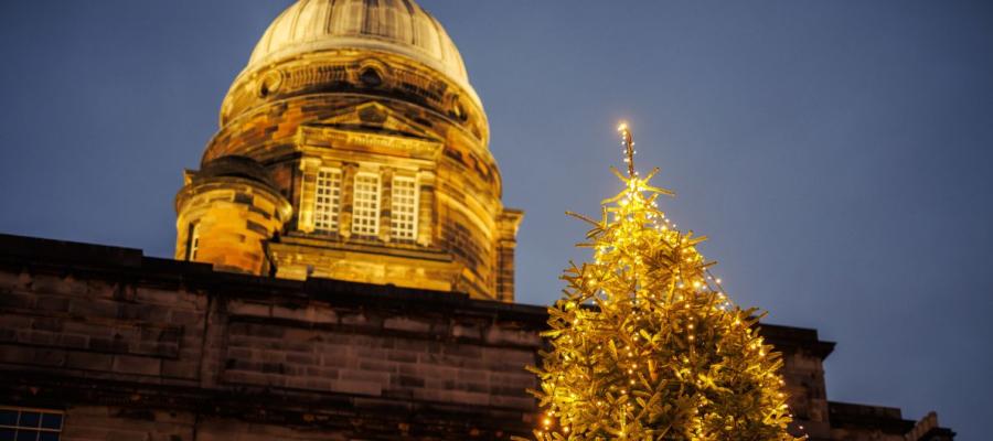 Image of the Old College and a Christmas tree
