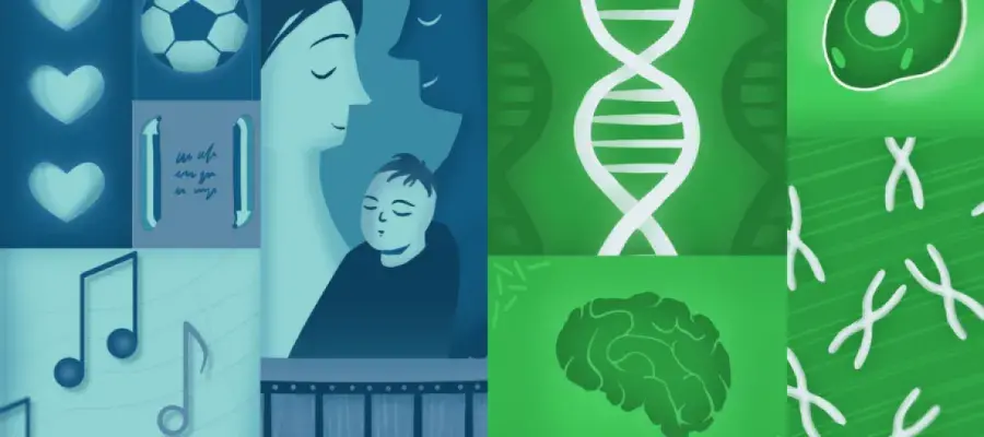 Conceptual illustration of parents and child, a brain, chromosomes and DNA