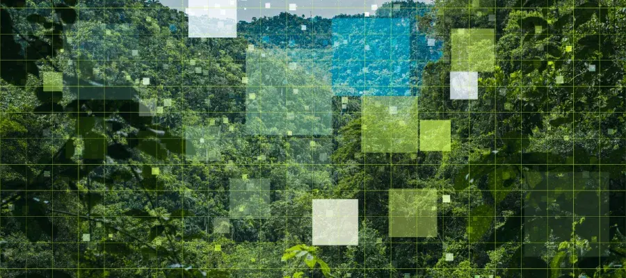 Pixellated image of forest