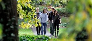 Mental Health Support