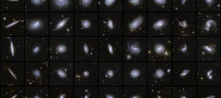 Examples of galaxies of different shapes captured by the Euclid satellite