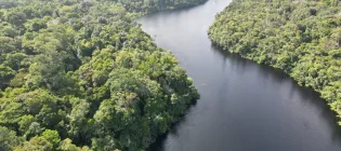 Aerial shot of rainforest in north-eastern Brazil, with a river running through it