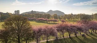 Edinburgh’s Meadows and University buildings in Springtime Image Chris Close 