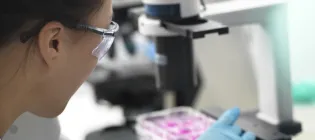 Female scientist placing multi well plate containing cells under microscope in laboratory