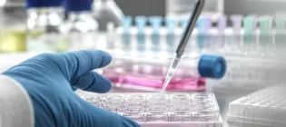 Scientist pipetting medical samples into a microplate in a laboratory