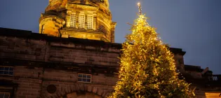 The Christmas Tree in Old College Quadrangle