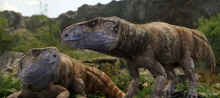Artist's impression of two Ajkaceratops kozmai dinosaurs
