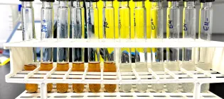 Microbial hydrogenation reactions using chemically (left) and enzymatically (right) degraded bread waste. Credit: Dr Mirren White, School of Biological Sciences, University of Edinburgh.