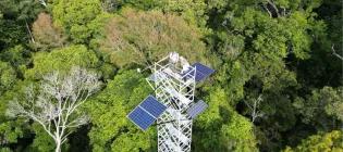 Ariel view of a dense rainforest with a solar panel installation visible among the trees.