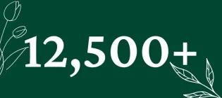 We’ve trained more than 12,500 staff and students since the start of the 2023/24 academic year.