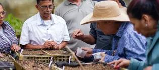group of community members sort seedlings together