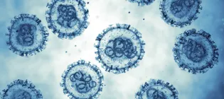 3D image of hantavirus under microscope
