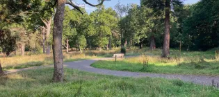 Image of trees and grass as part of an inner city woodland area