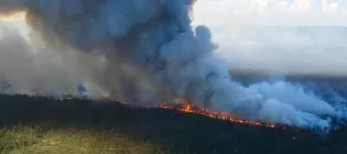 Forest fire in Russia