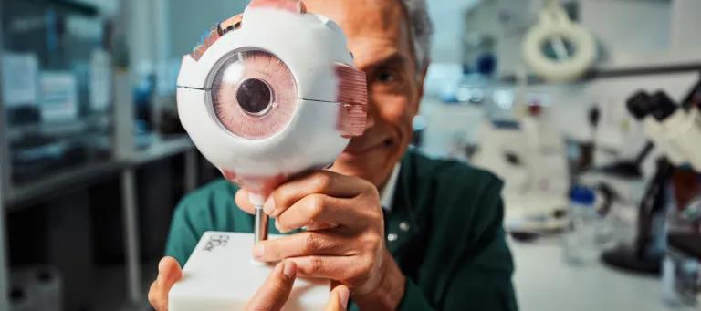 Close up of eye model and scientist