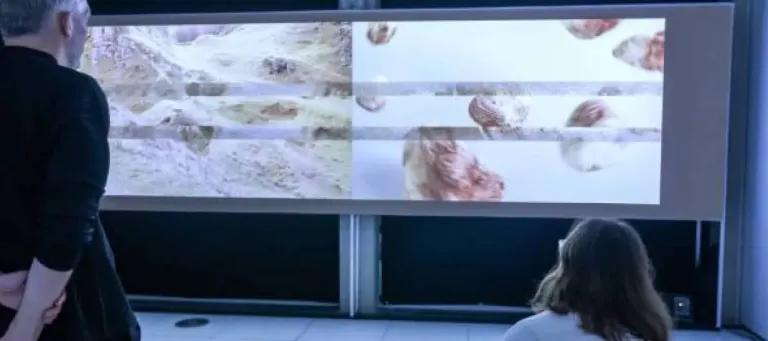 Two people look at digital artwork on screen 