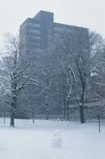 George Square in the snow