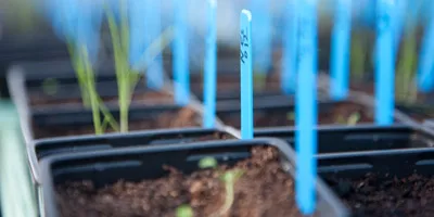 M 100712 Top three in sustainability