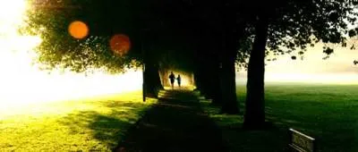 Joggers in the meadows