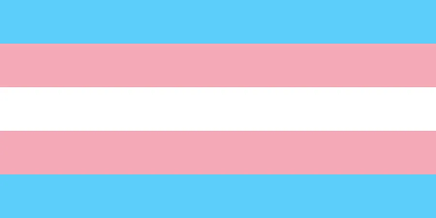Image of Transgender Pride flag