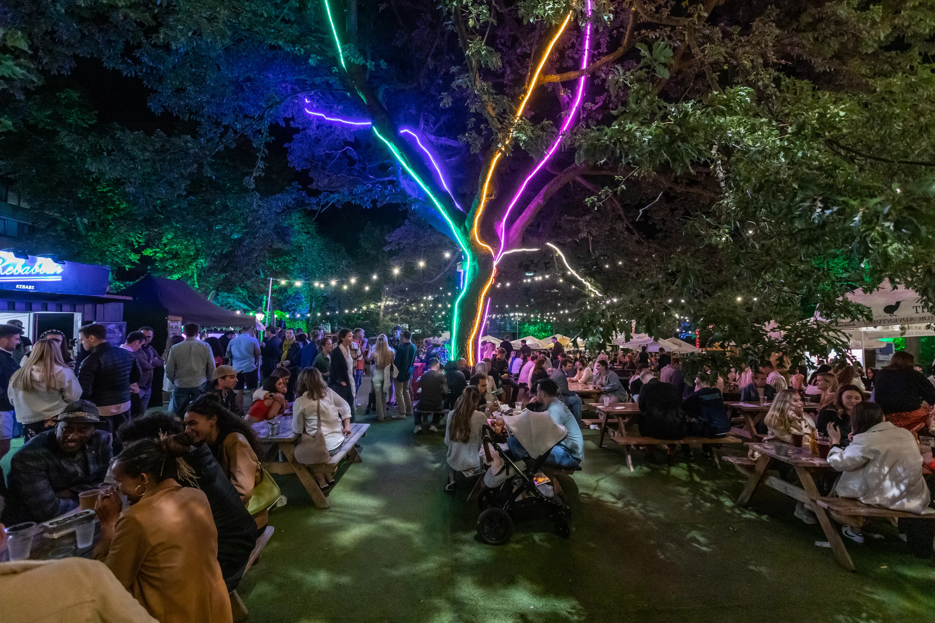Trees illuminated for the festival in George Square gardens