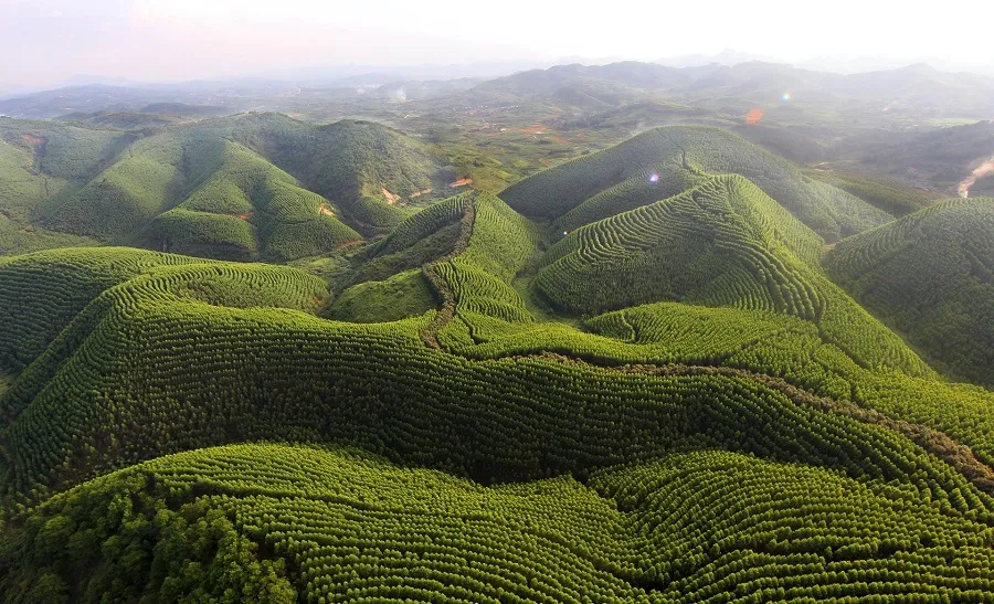 CO2 land sink in the Chinese landscape