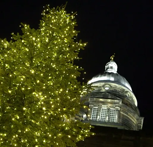 Christmas tree in Old College Quadrangle