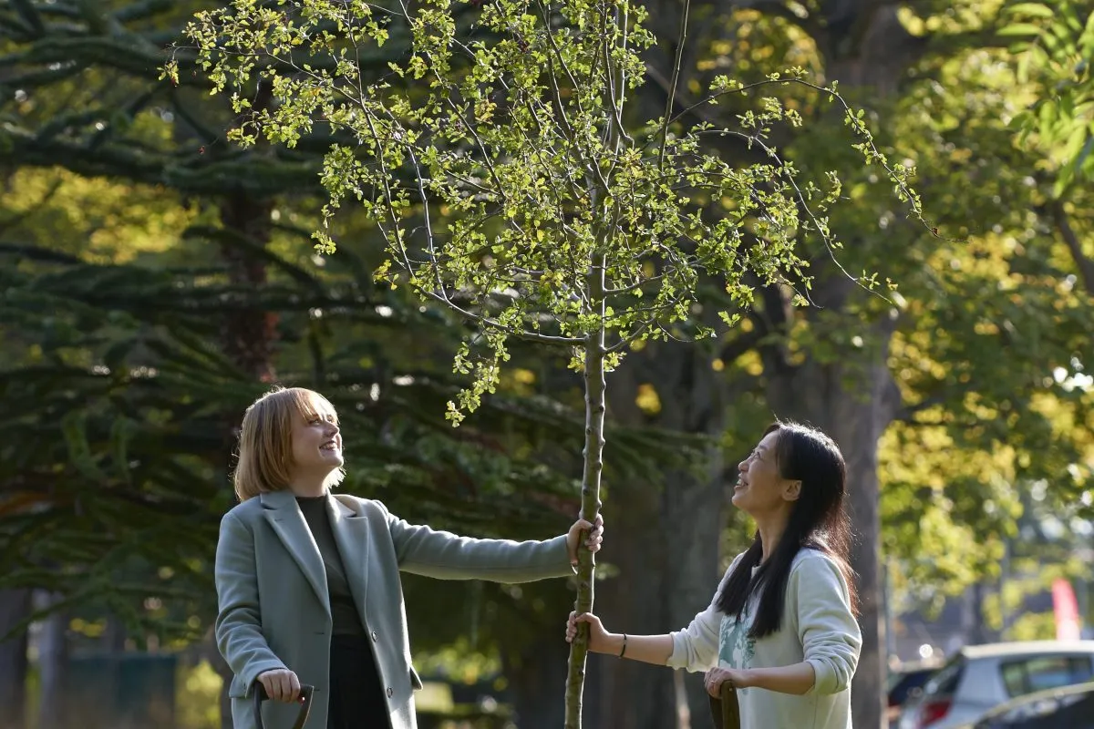 Students help plant trees to mark the growth in student entrepreneurship