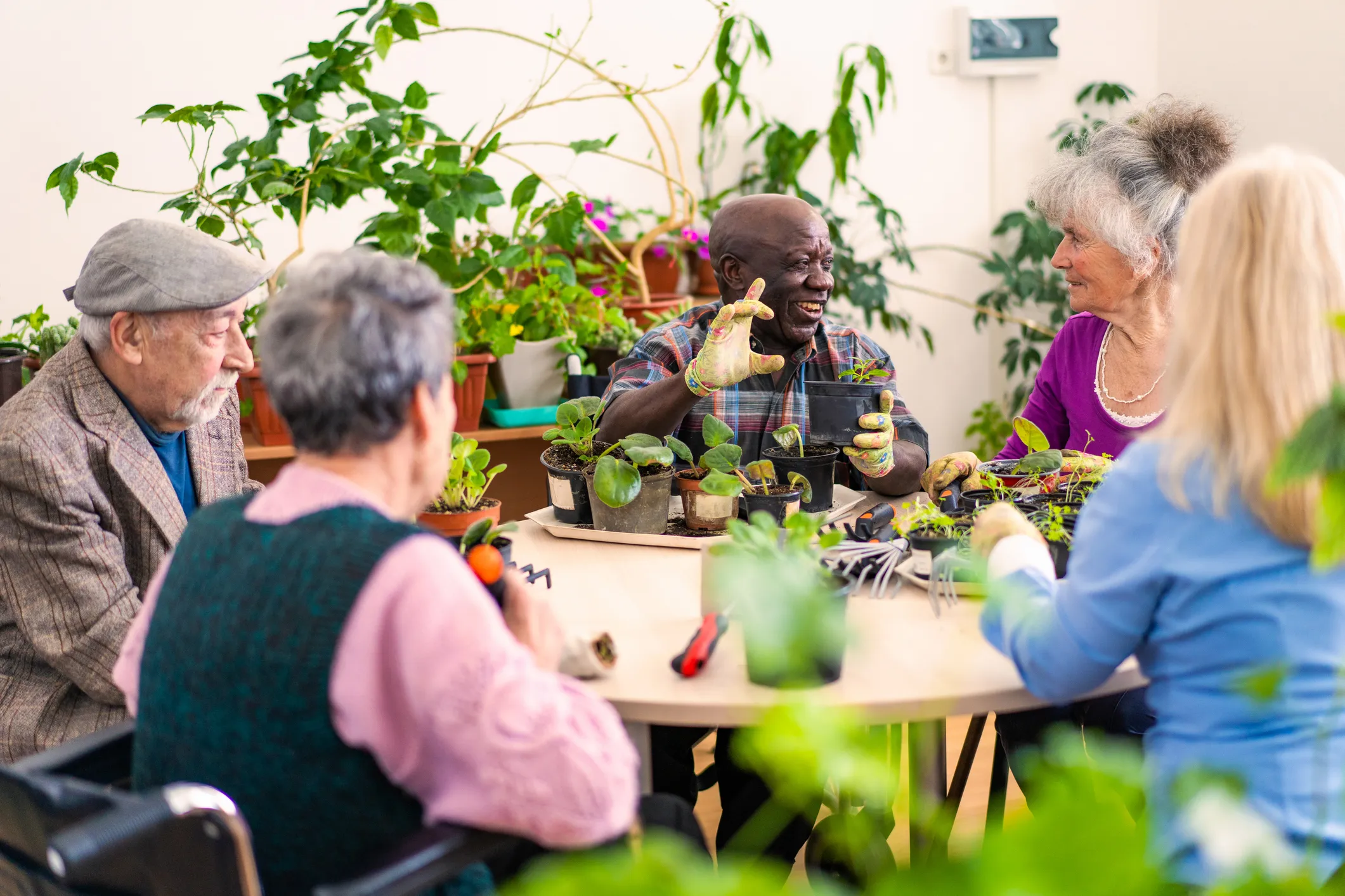 Older people gardening