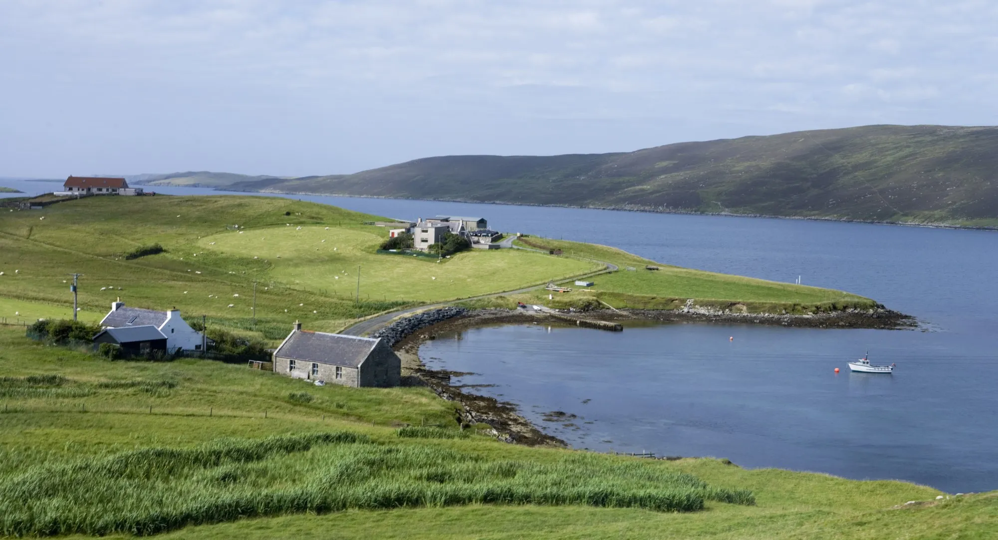 Remote houses on the Shetland coast