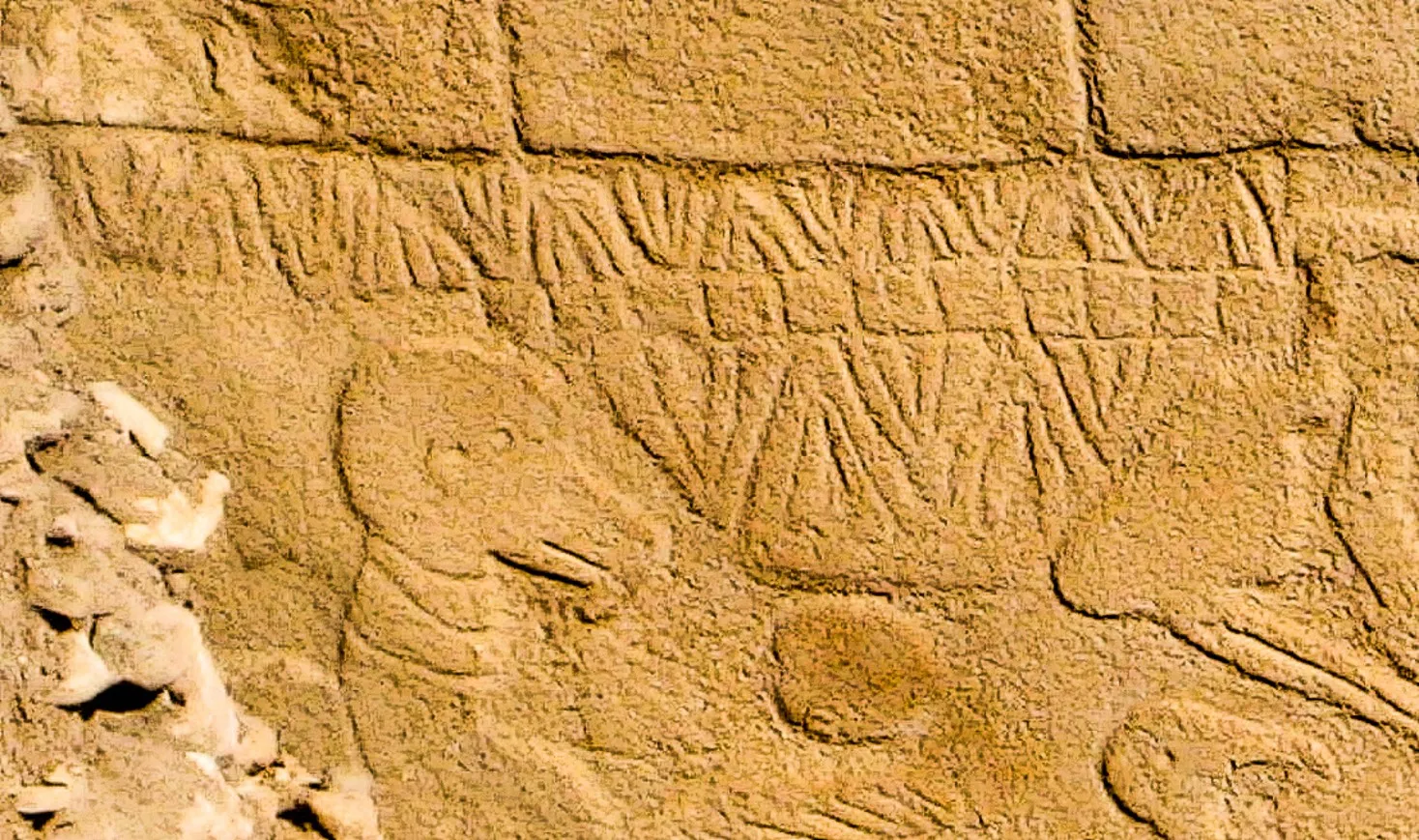 Ancient carvings are clear on a stone pillar at Gobekli Tepe