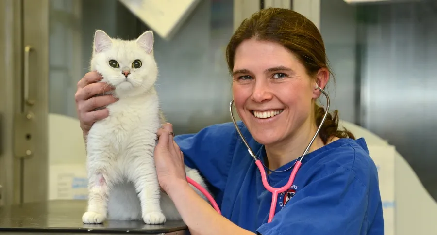 Jasmin Paris with a cat