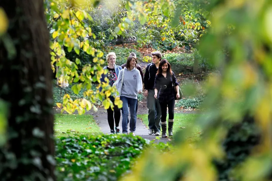 Mental Health Strategy - Support