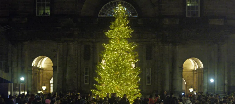 People admiring Christmas Tree at Old College Quad