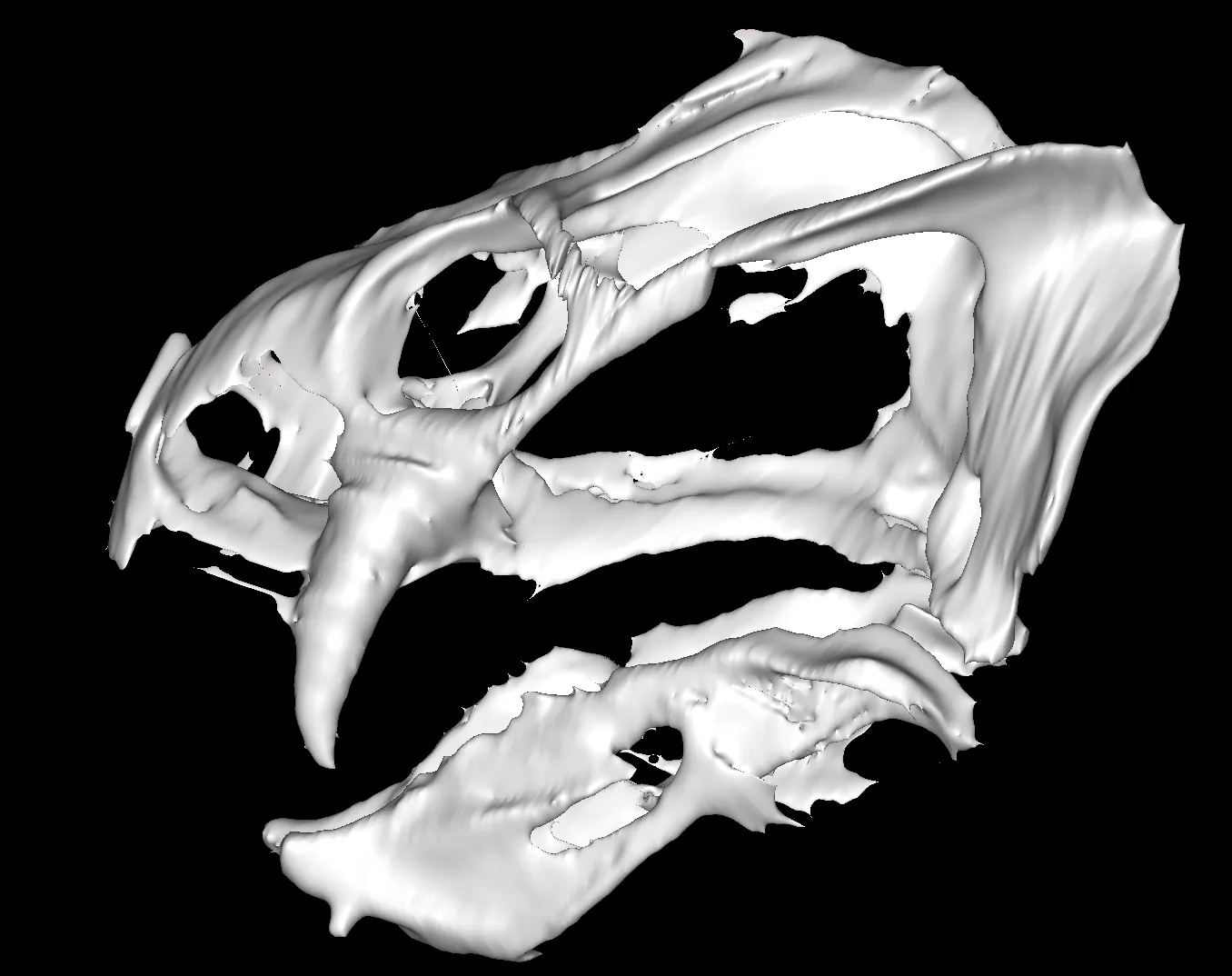 Recreation of the skull of the Gordonia traquari from CT scans of its fossil