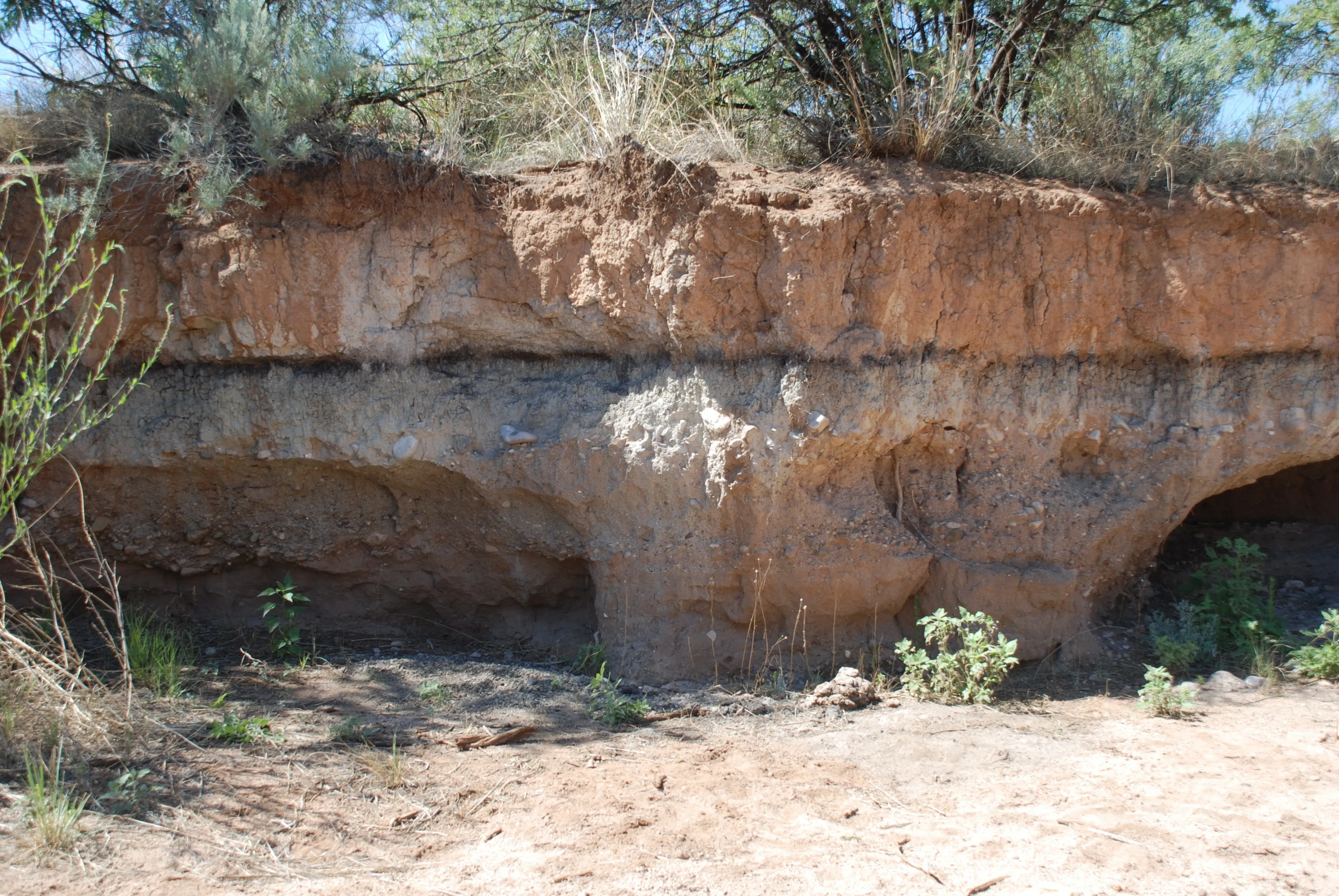Image of archaeological site in Arizona, US