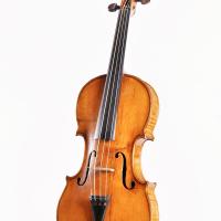 Google/Collection Angle - Violin