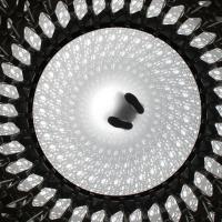 EFI - student photo comp 2022 - Antonia Wilford