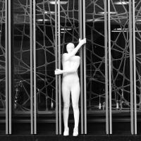 EFI - student photo comp 2022 - Antonia Wilford