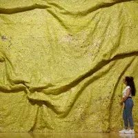 El Anatsui image 1