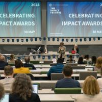 Impact festival 5