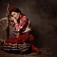 Taras Shevchenko National University of Kyiv -  folk online exhibition