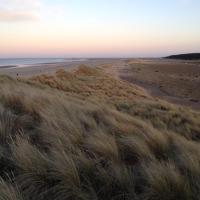 Soothing image app beach