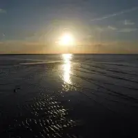 Soothing image app sunset