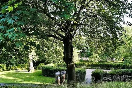 Health and wellbeing