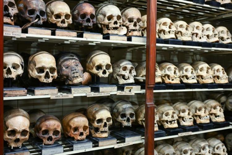 University of Edinburgh Skull Room
