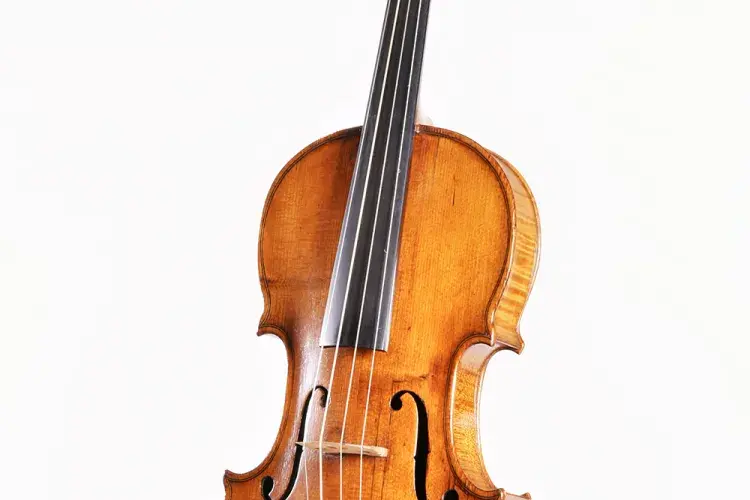 Google/Collection Angle - Violin