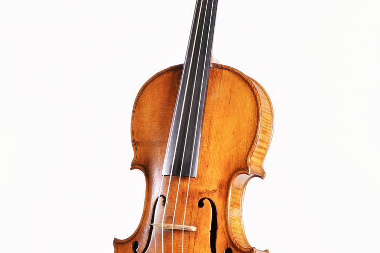 Google/Collection Angle - Violin