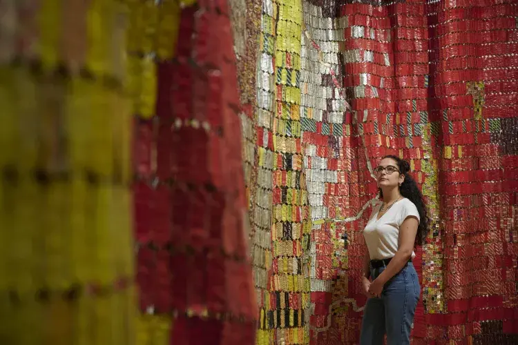 El Anatsui image 2